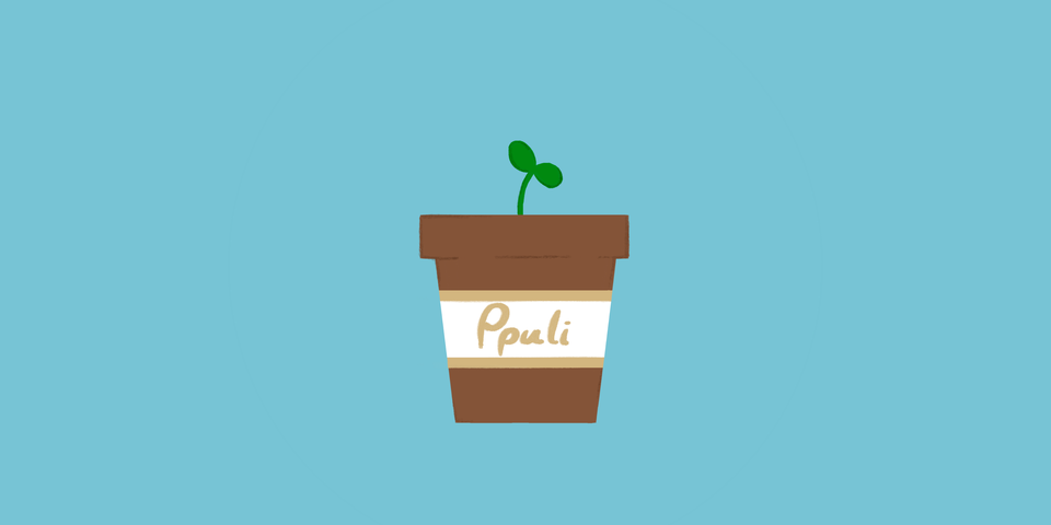 Ppuli